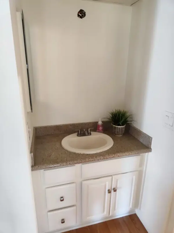 Bathroom Wall & Vanity Cabinet Painting