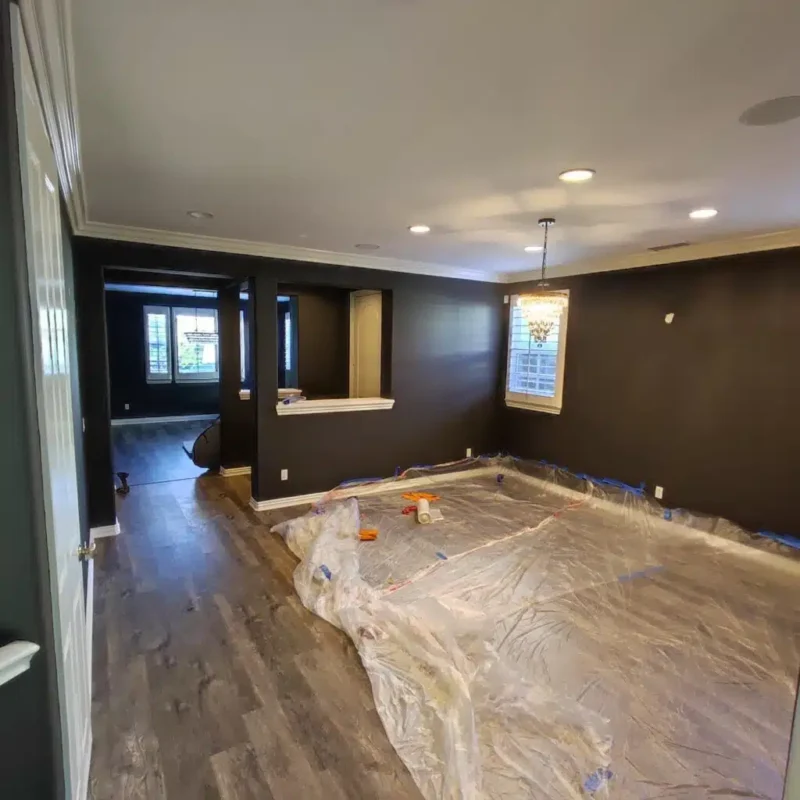 Dark Walls Painting