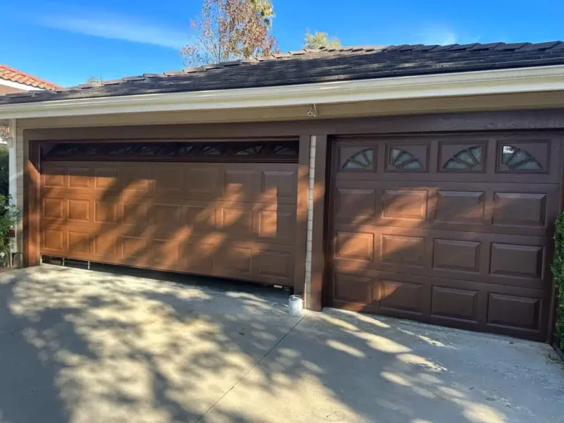 Garage Door Painting