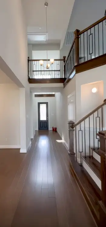 Top quality painting services